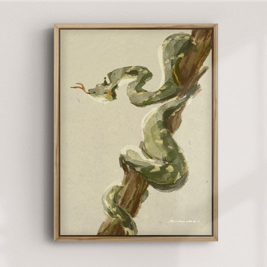 Year of the Snake | Wall Art